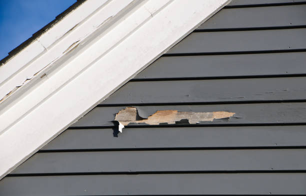 Professional Siding Installation & Repair in Lake Hamilton, FL